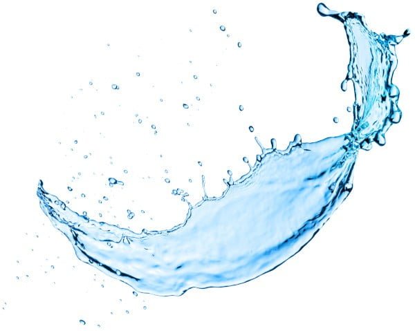a water splash on a white background
